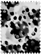 Gomez Print