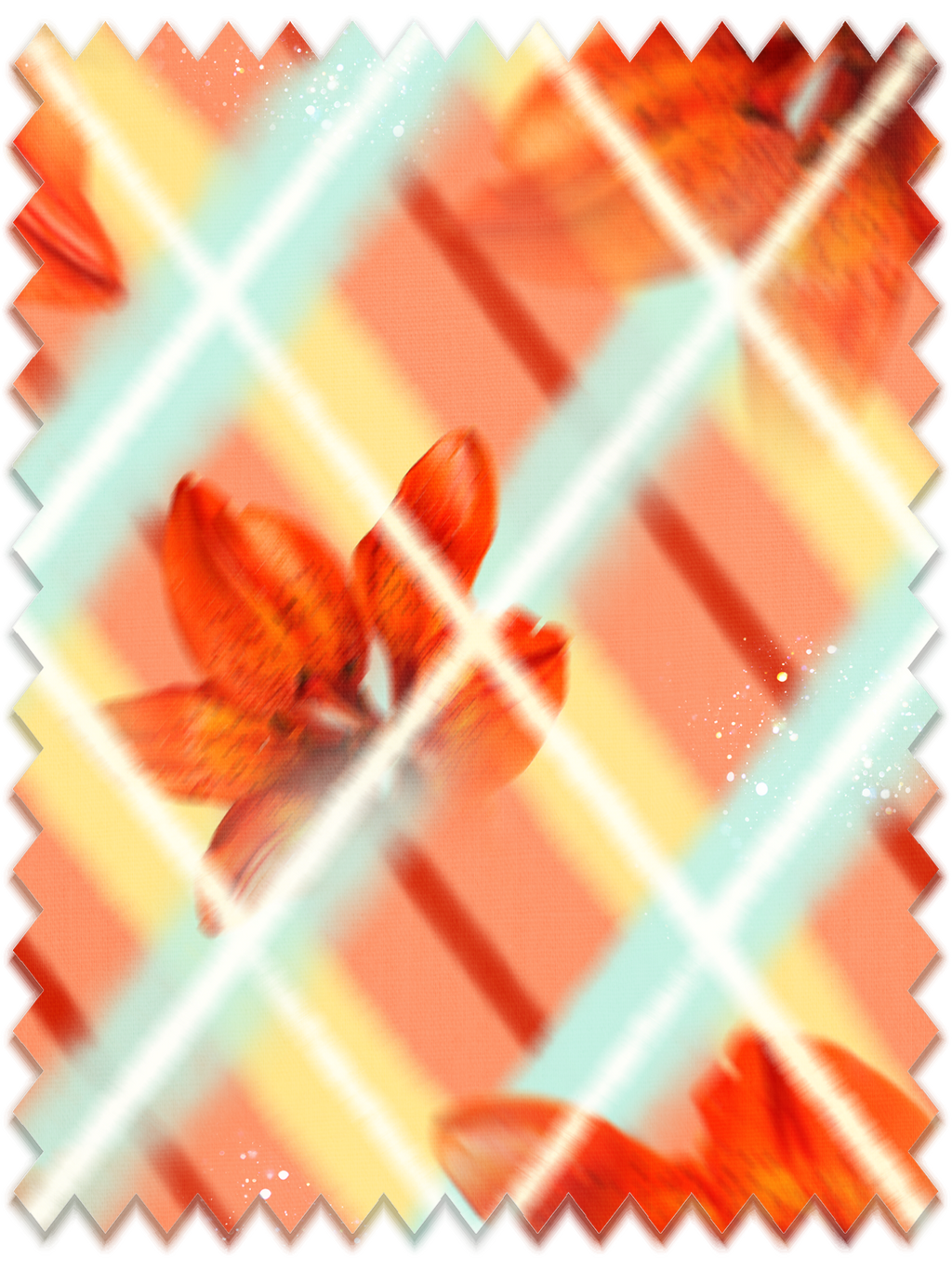 Raye Print