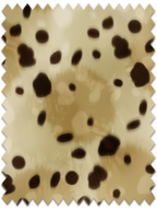 Sandy Print