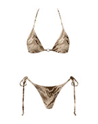 Shania Print